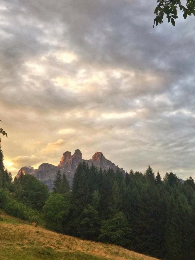 B&B Maso Al Cervo Fiera Di Primiero Bagian luar foto