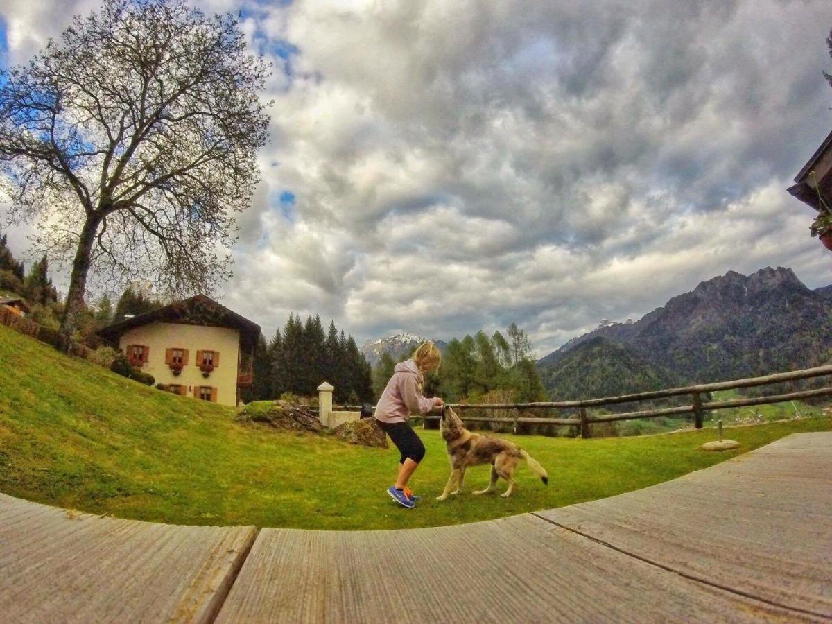 B&B Maso Al Cervo Fiera Di Primiero Bagian luar foto